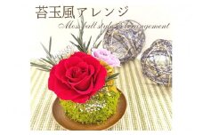 プリザーブドフラワー 苔玉風アレンジ【023D-006】
