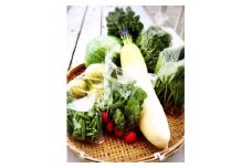 直売所の泉州産旬野菜セット 80サイズ箱【015E-007】