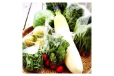 直売所の泉南産旬野菜セット詰め合わせ 100サイズ箱【015E-009】