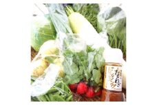 地元野菜の美味いろどり野菜セット 100サイズ箱 ドレッシング付【015D-012】