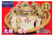 泉南銘産 水なすペアセット 太郎＆花子 計8個【042D-019】