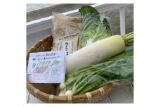 野菜がおいしく漬かる糠漬けセット 100サイズ箱【015E-010】