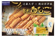 近畿大学×岡田浦漁協『泉南あなご』煮込（伝助アナゴ）2尾入り！【058D-005】