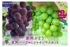 泉州ぶどう 泉州パープルとシャインマスカットのセット【065D-016】