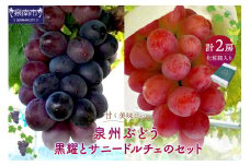 泉州ぶどう 黒耀とサニードルチェのセット【065D-014】
