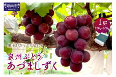 泉州ぶどう あづましずく 1房【065D-009】