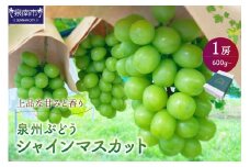 泉州ぶどう シャインマスカット 1房【065D-010】