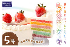 レインボーケーキ5号サイズ【074D-032】