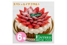 スペシャルイチゴタルト6号サイズ【074C-002】