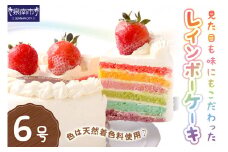 レインボーケーキ6号サイズ【074D-039】