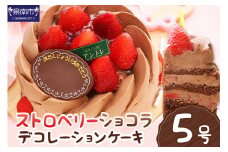 ストロベリーショコラ5号サイズ【074D-034】