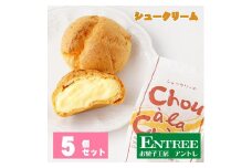 シュークリーム5個セット【074D-026】