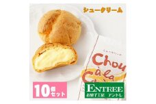 シュークリーム10個セット【074D-031】