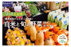 農業姉妹がこだわって栽培！白米5kgと旬の野菜10種 1年定期便【024A-023】