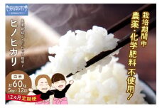 農業姉妹がこだわって栽培！白米5kg 1年定期便【024A-012】