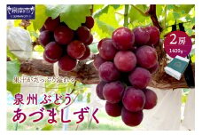 泉州ぶどう あづましずく 2房【065D-012】