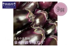 まるやま農園 泉州A級生水なす【087D-033】