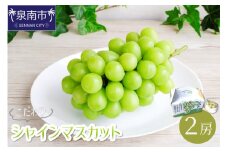 こだわりシャインマスカット【配送不可地域：北海道・沖縄・離島】【089D-001】