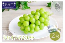 訳あり 自宅用シャインマスカット【配送不可地域：北海道・沖縄・離島】【089D-002】