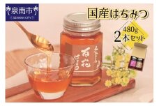 国産はちみつ480g 2本セット【配送不可地域：北海道・沖縄・離島】【090D-002】