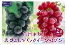 泉州ぶどう あづましずくとクイーンセブンの彩りセット【065D-017】