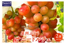 泉州ぶどう 太陽の甘みたっぷりサニードルチェ【065D-018】