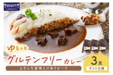 【ギフト仕様】ゆるっとグルテンフリー とろとろ旨味とけあうビーフカレー （中辛）3食セット【092E-007】