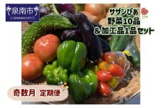 サザンぴあ 野菜10品＆加工品1品セット 奇数月定期便【015A-003】