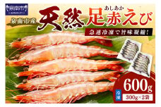 大阪府泉南市産 天然足赤エビ 600g【058D-007】