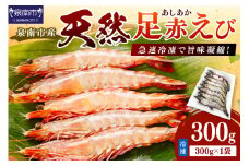 大阪府泉南市産 天然足赤エビ 300g【058D-008】