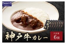 神戸牛カレー 200g×6個セット【108C-003】