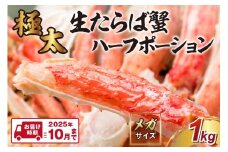 【極太1kgメガサイズ】生たらば蟹 ハーフポーション  【2025年10月までの発送】生タラバハーフポーション 蟹の丸山 海鮮 蟹 たらば蟹【087C-049】