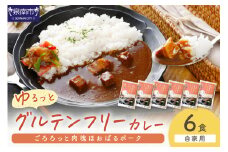 【自家用 化粧箱なし】ゆるっとグルテンフリー ごろろっと肉塊ほおばるポークカレー（甘口）6食セット【092D-008】