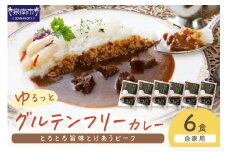 【自家用 化粧箱なし】ゆるっとグルテンフリー とろとろ旨味とけあうビーフカレー（中辛）6食セット【092D-009】