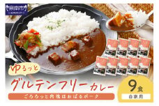 【自家用 化粧箱なし】ゆるっとグルテンフリー ごろろっと肉塊ほおばるポークカレー（甘口）9食セット【092D-012】