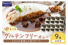 【自家用 化粧箱なし】ゆるっとグルテンフリー とろとろ旨味とけあうビーフカレー（中辛）9食セット【092D-013】