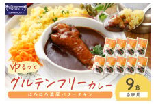 【自家用 化粧箱なし】ゆるっとグルテンフリー ほろほろ濃厚バターチキンカレー（辛口）9食セット【092D-014】
