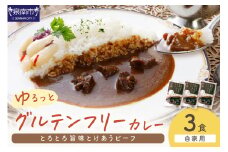 【自家用 化粧箱なし】ゆるっとグルテンフリー とろとろ旨味とけあうビーフカレー（中辛）3食セット【092E-011】