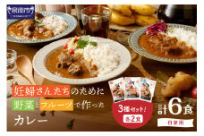 【自家用 化粧箱なし】妊婦さんたちのために野菜とフルーツで作ったカレー ビーフ・ポーク・チキン 合計6食セット【092D-023】