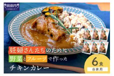 【自家用 化粧箱なし】妊婦さんたちのために野菜とフルーツで作ったチキンカレー 6食【092D-026】