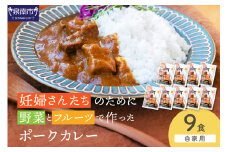 【自家用 化粧箱なし】妊婦さんのために野菜とフルーツで作ったポークカレー 9食セット【092D-029】