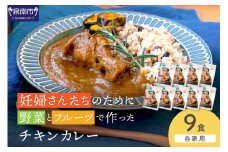 【自家用 化粧箱なし】妊婦さんたちのために野菜とフルーツで作ったチキンカレー 9食セット【092D-030】