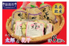 泉南銘産 水なすペアセット 太郎＆花子 計6個【042D-016】