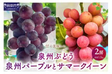 泉州パープルとサマークイーンの夏ぶどうセット【065D-021】