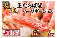 【極太1kgメガサイズ】生たらば蟹 ハーフポーション【2025年10月以降の発送】【087C-054】