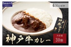神戸牛カレー200g×30個セット 6ヶ月定期便【108A-007】