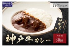 神戸牛カレー200g×30個セット 12ヶ月定期便【108A-008】