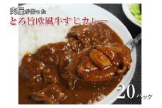 とろ旨欧風牛すじカレー（200g×20パック）【配送不可地域：北海道・沖縄】【069C-001】