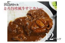 とろ旨欧風牛すじカレー（200g×12パック）【配送不可地域：北海道・沖縄】【069D-013】