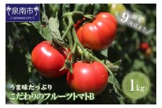 【糖度9度以上】うま味たっぷり こだわりのフルーツトマトB 1kg【配送不可地域：北海道・沖縄・離島】【093E-001】